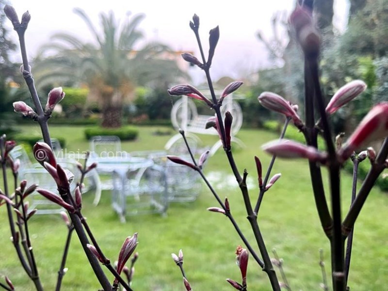 عکس شماره 824780 - اجاره ویلا در دهکده ساحلی انزلی - 