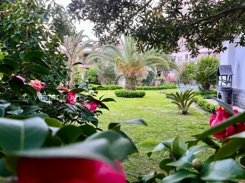 عکس شماره 824781 - اجاره ویلا در دهکده ساحلی انزلی - 