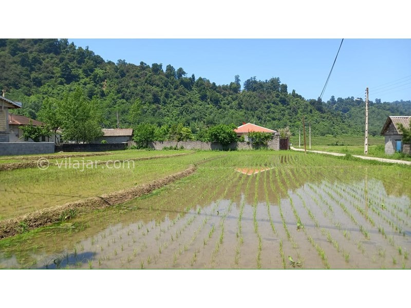 عکس شماره 825106 - اجاره ویلا جنگلی نزدیک اسالم تالش - 