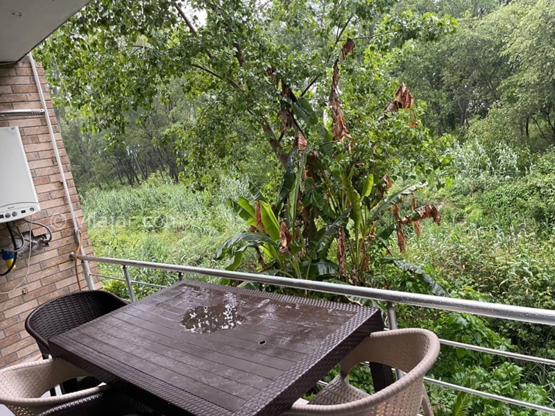 عکس شماره 825158 - اجاره ویلا جنگلی استخردار سرخرود -