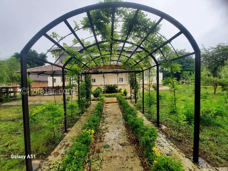 عکس شماره 825765 - اجاره ویلا جنگلی در ماسال -