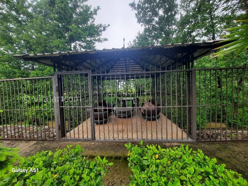 عکس شماره 825767 - اجاره ویلا جنگلی در ماسال -