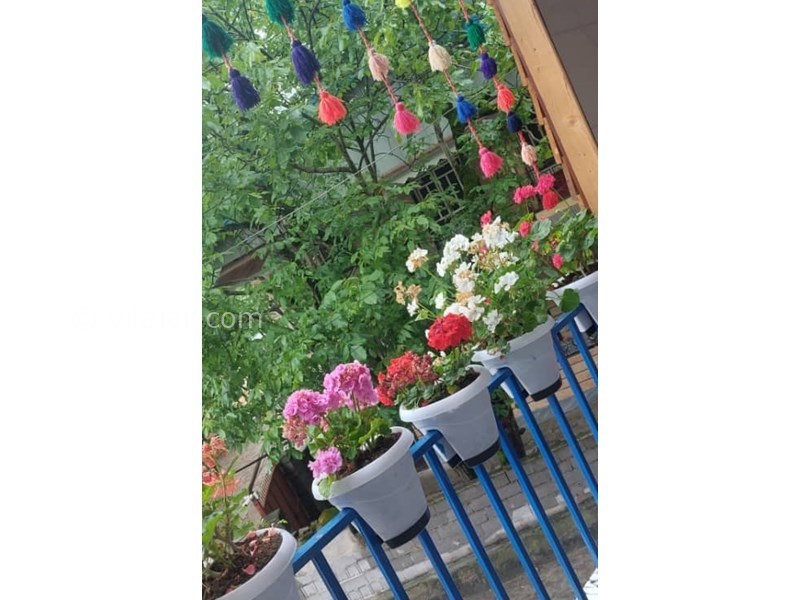 عکس شماره 826134 - اجاره ویلا در ماسال شالما - 