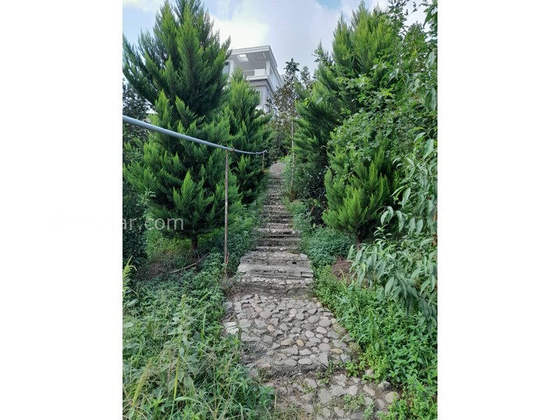 عکس شماره 826962 - اجاره اقامتگاه لب رودخان بابل - 