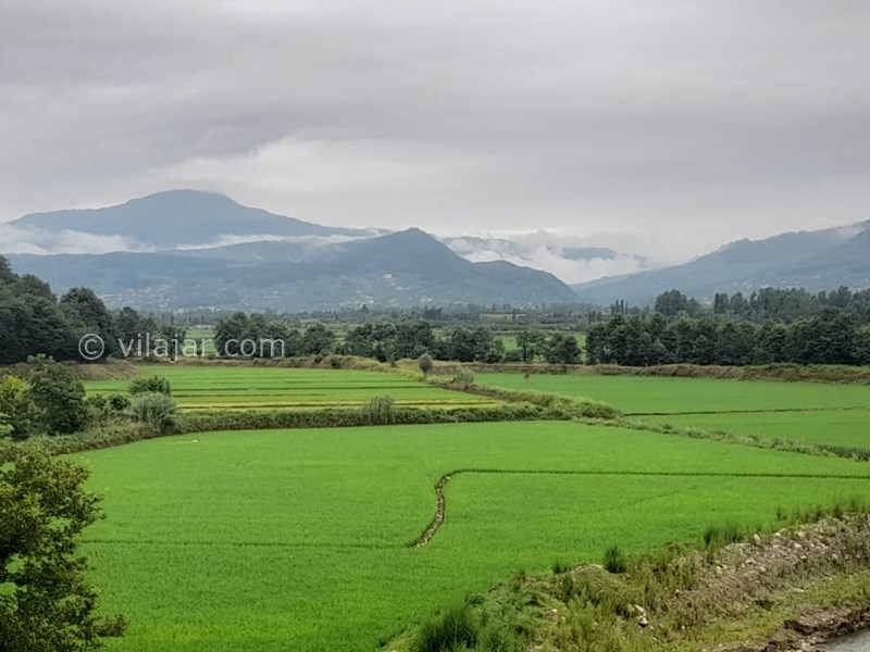 عکس شماره 826964 - اجاره اقامتگاه لب رودخان بابل - 