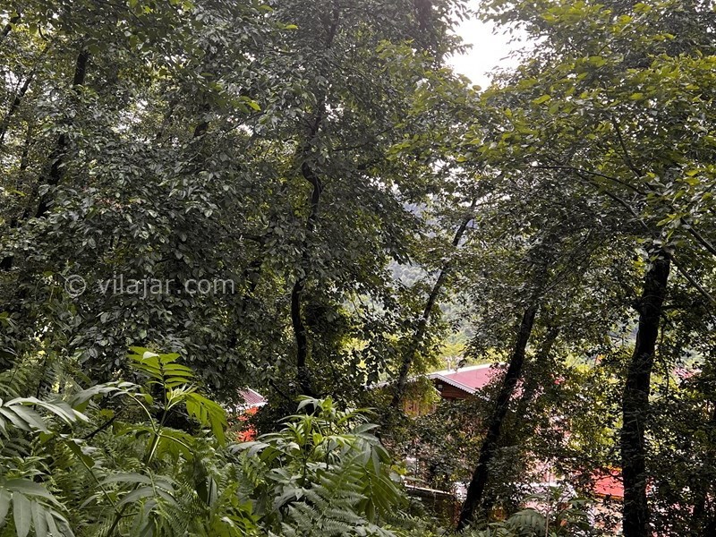 عکس شماره 827009 - اجاره ویلا چوبی در جاده اسالم - 