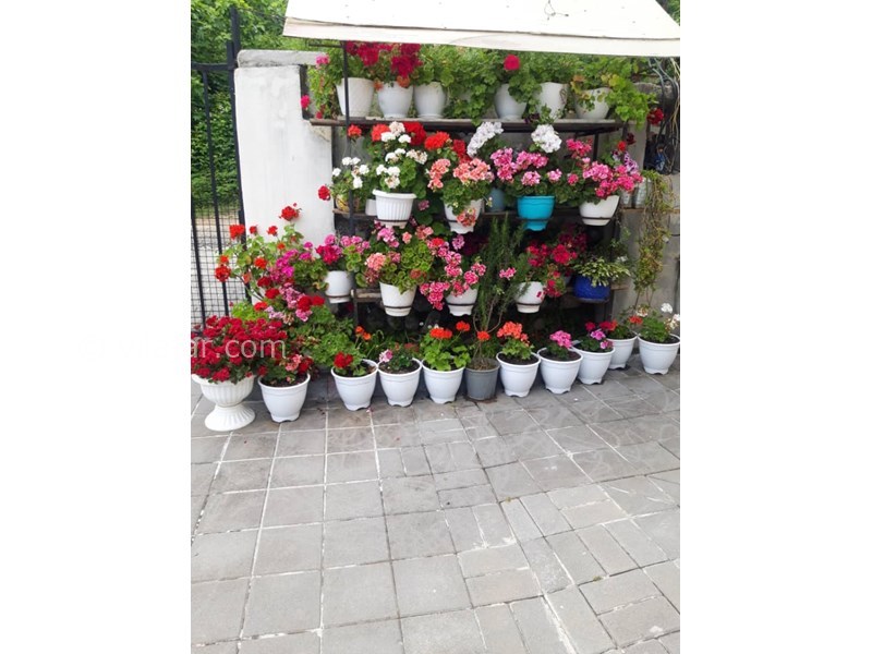 عکس شماره 827146 - اقامتگاه در آستارا نزدیک دریاچه استیل - 