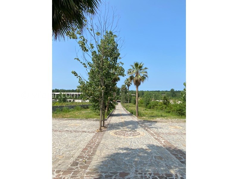 عکس شماره 827294 - اجاره ویلا نوشهر جنگلی - 