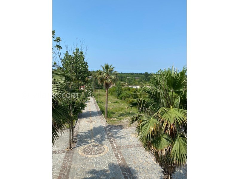 عکس شماره 827295 - اجاره ویلا نوشهر جنگلی - 