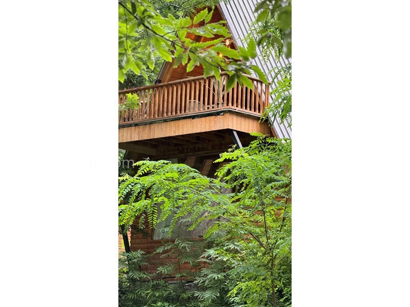 عکس شماره 827415 - اجاره کلبه چوبی در رامسر جواهرده - 