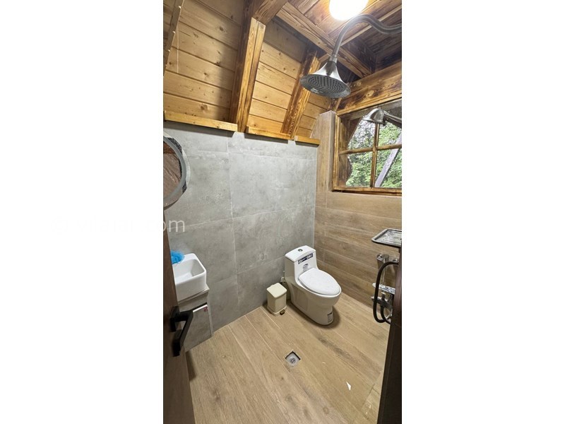 عکس شماره 827417 - اجاره کلبه چوبی در رامسر جواهرده - 