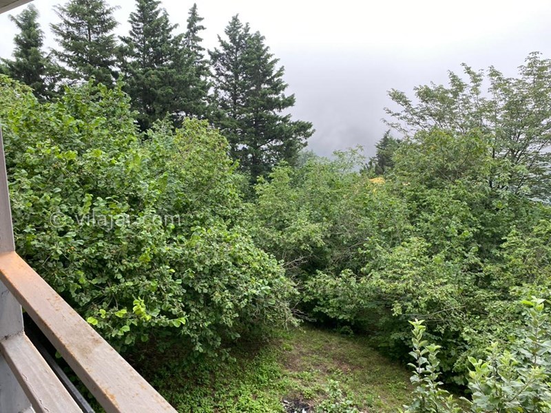 عکس شماره 827535 - اجاره ویلا جاده دوهزار تنکابن - 