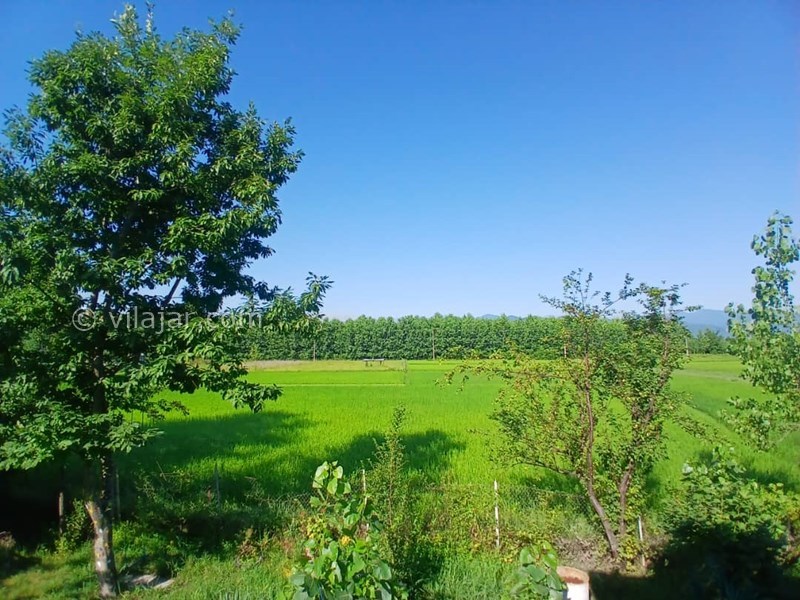 عکس شماره 827663 - اجاره ویلا در ماسال با منظره شالیزار - 