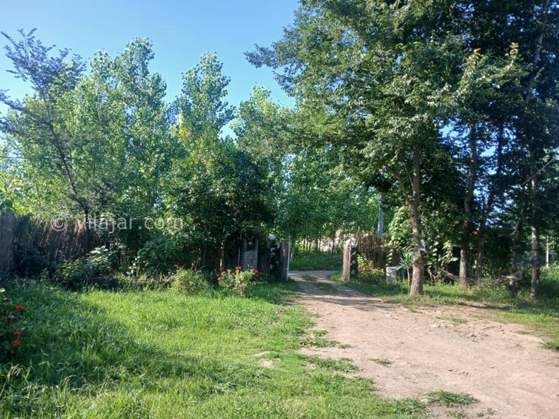 عکس شماره 827668 - اجاره ویلا در ماسال با منظره شالیزار - 