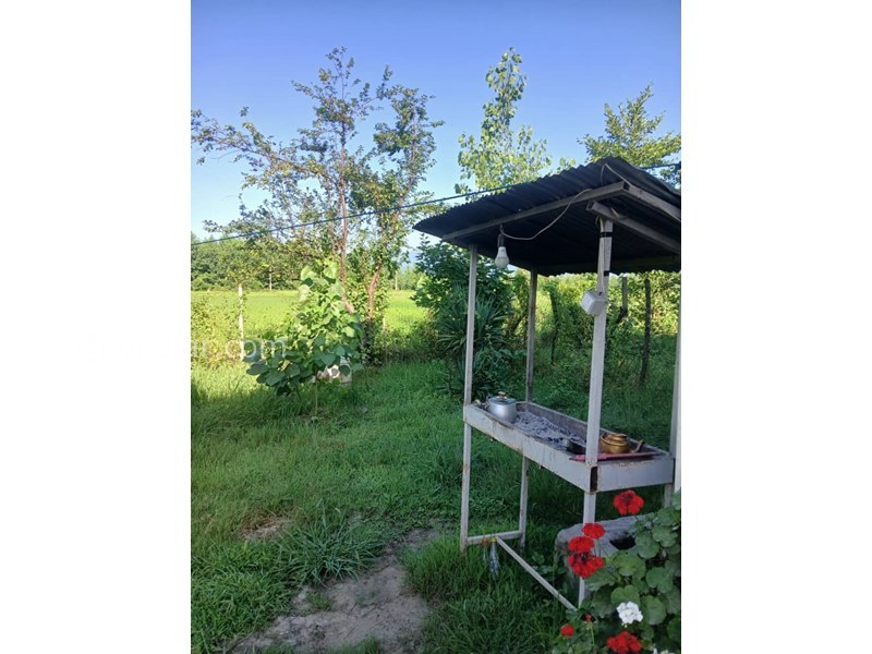 عکس شماره 827669 - اجاره ویلا در ماسال با منظره شالیزار - 