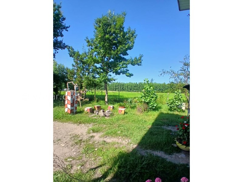 عکس شماره 827670 - اجاره ویلا در ماسال با منظره شالیزار - 