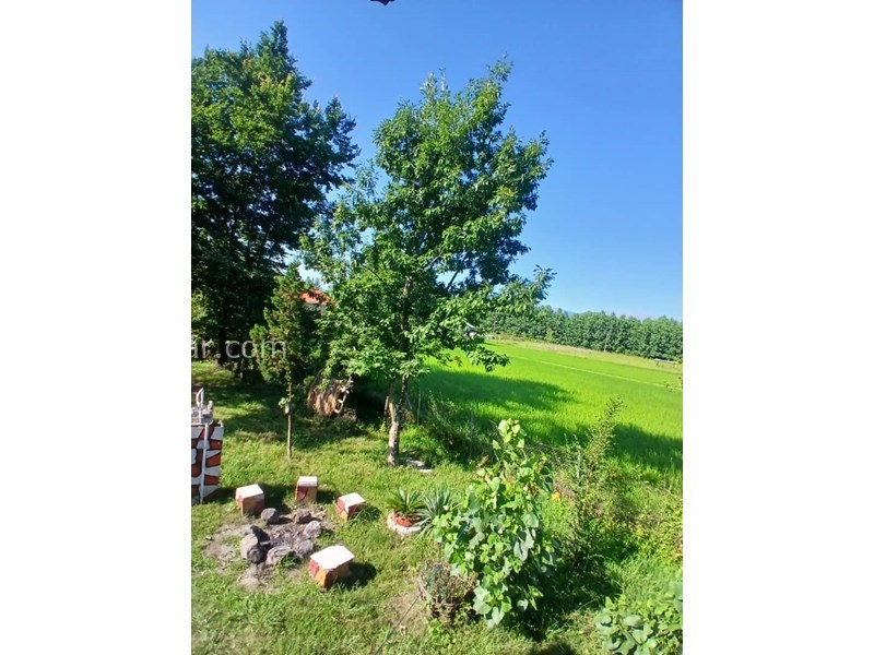 عکس شماره 827671 - اجاره ویلا در ماسال با منظره شالیزار - 