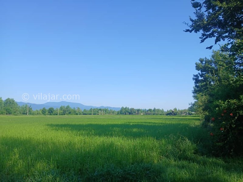 عکس شماره 827672 - اجاره ویلا در ماسال با منظره شالیزار - 