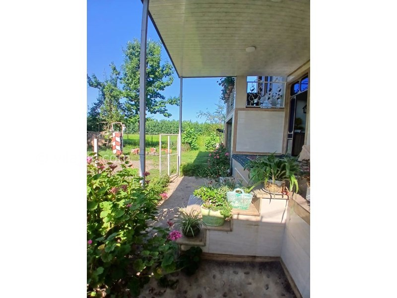 عکس شماره 827673 - اجاره ویلا در ماسال با منظره شالیزار - 