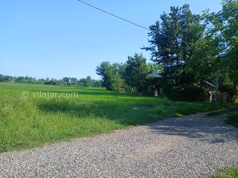 عکس شماره 827675 - اجاره ویلا در ماسال با منظره شالیزار - 