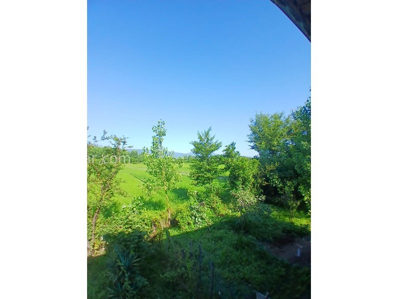 عکس شماره 827677 - اجاره ویلا در ماسال با منظره شالیزار - 