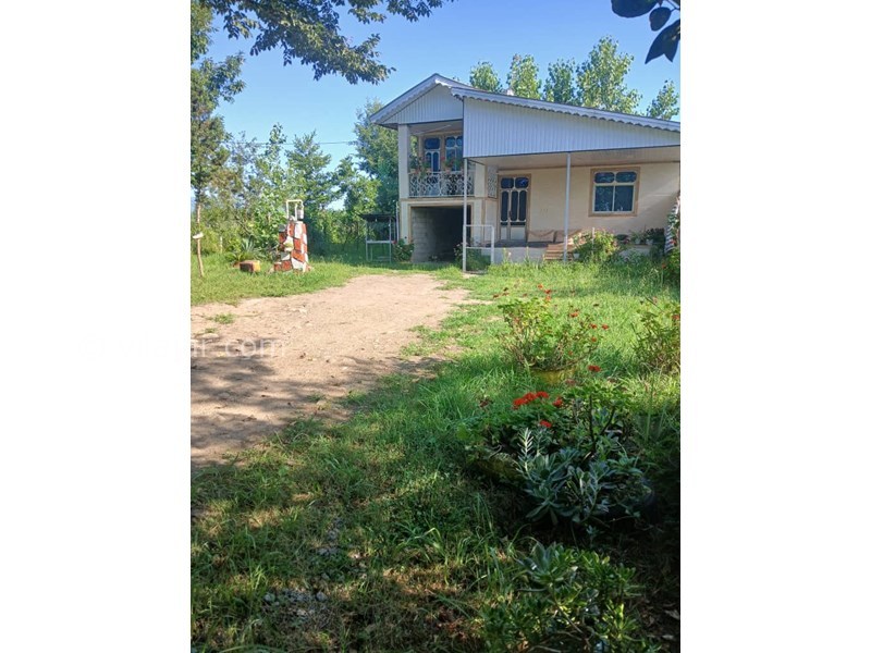 عکس شماره 827684 - اجاره ویلا در ماسال با منظره شالیزار - 