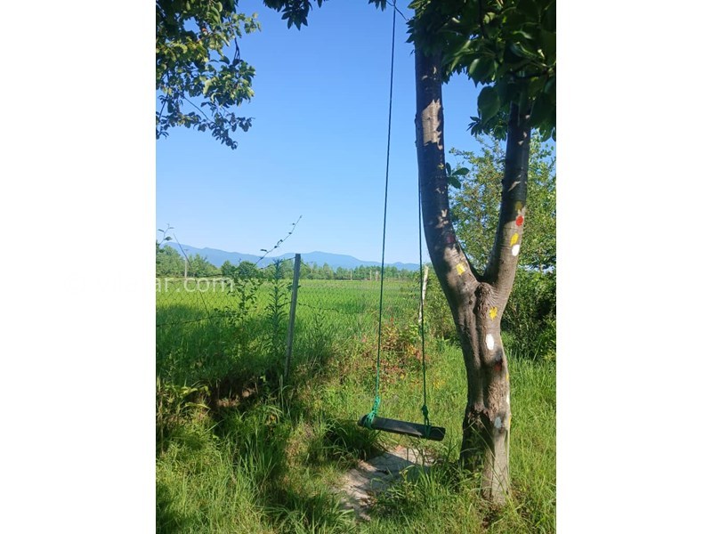 عکس شماره 827685 - اجاره ویلا در ماسال با منظره شالیزار - 