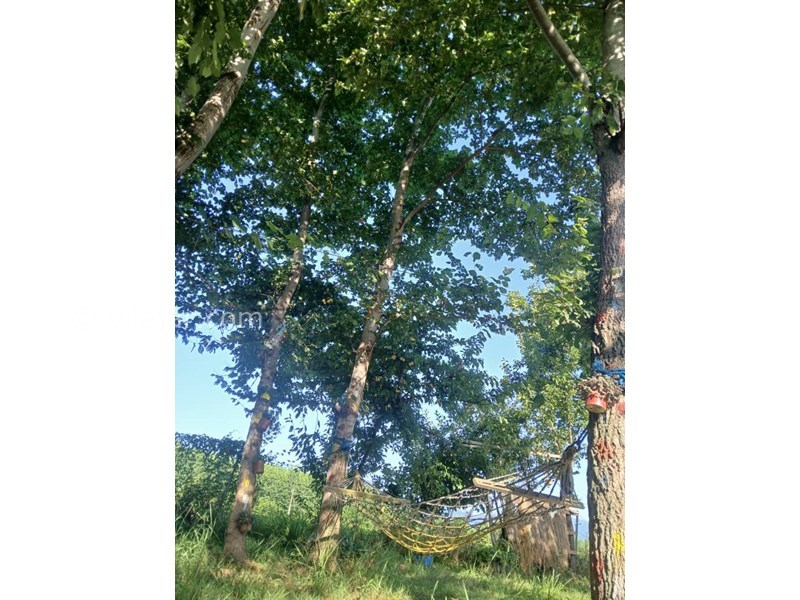 عکس شماره 827686 - اجاره ویلا در ماسال با منظره شالیزار - 