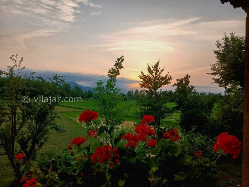 عکس شماره 827690 - اجاره ویلا در ماسال با منظره شالیزار - 