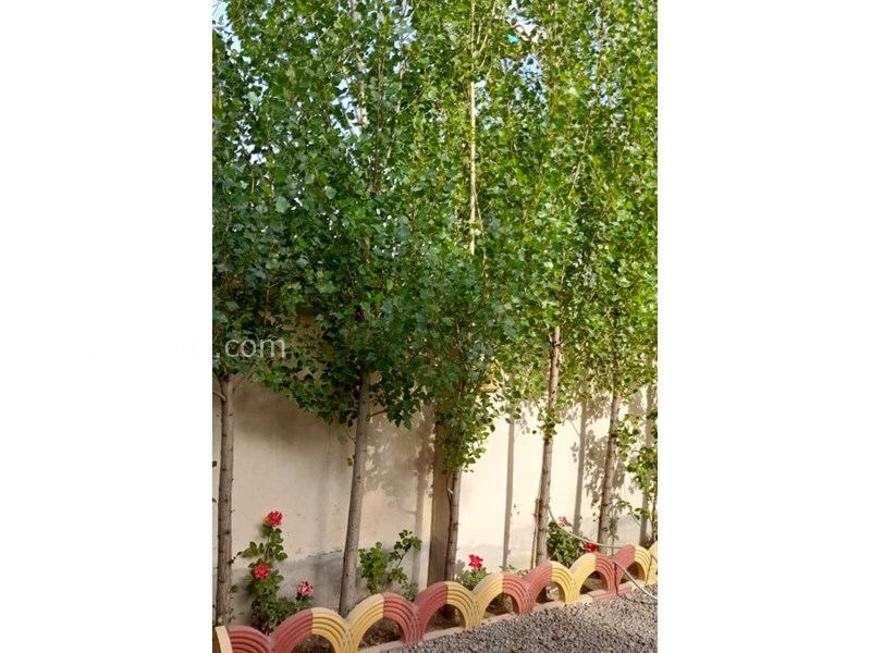 عکس شماره 827886 - اجاره ویلا در سرعین -