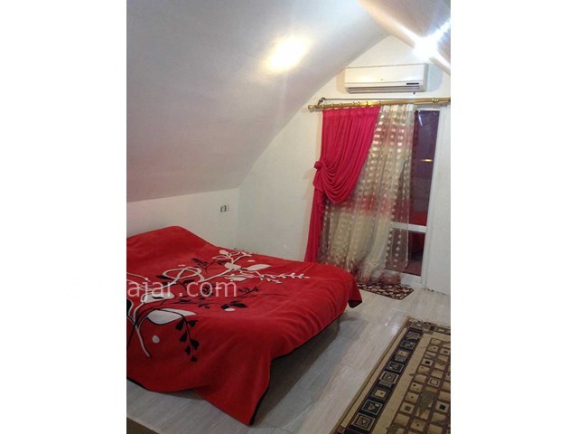 عکس شماره 8283 - اجاره ویلا در شمال نوشهر - 