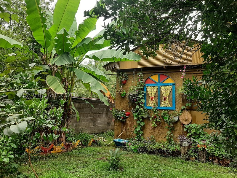 عکس شماره 828417 - اجاره ویلا باغ جنگلی در ماسال - دیوار خاطره ها برای عکاسی 