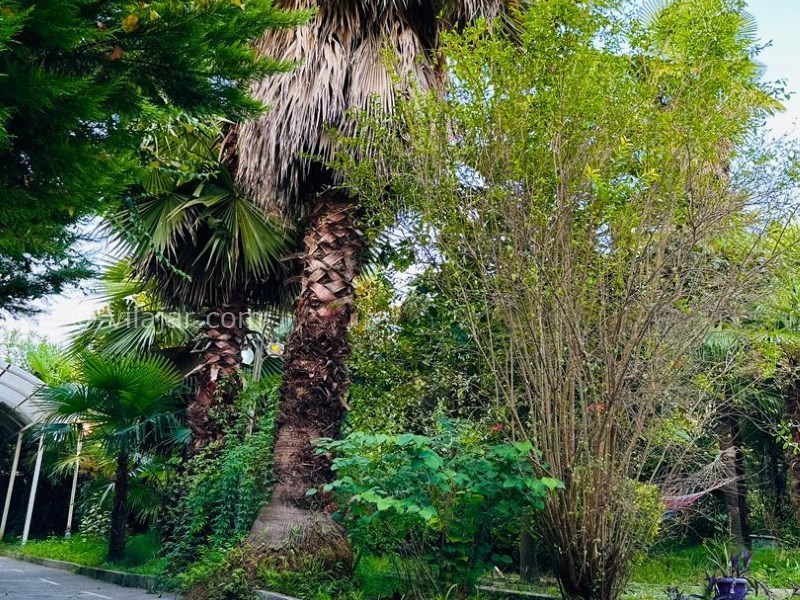 عکس شماره 828562 - اجاره ویلا باغ استخردار متل قو - 