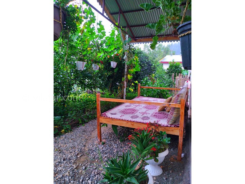 عکس شماره 829063 - اجاره ویلا در تالش لیسار - 