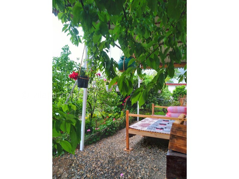 عکس شماره 829076 - اجاره ویلا در تالش لیسار - 