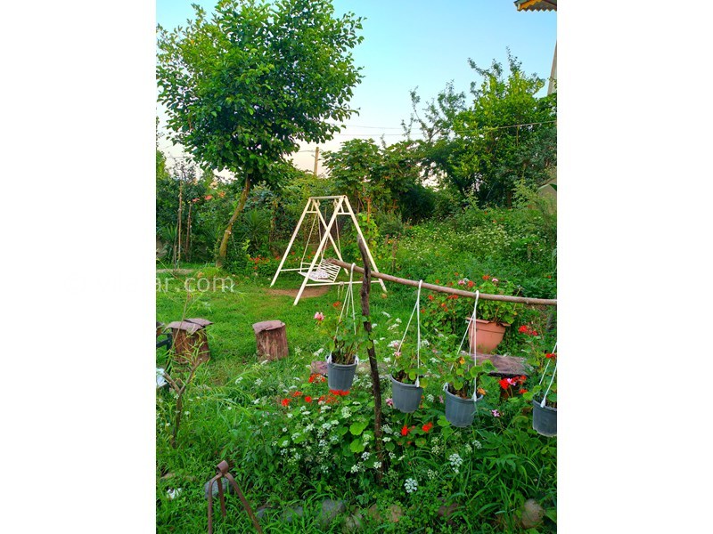 عکس شماره 829077 - اجاره ویلا در تالش لیسار - 