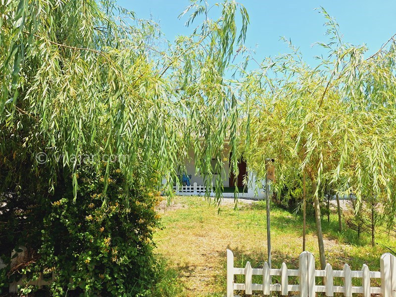 عکس شماره 830846 - مجتمع گردشگری آویشار تالش - 