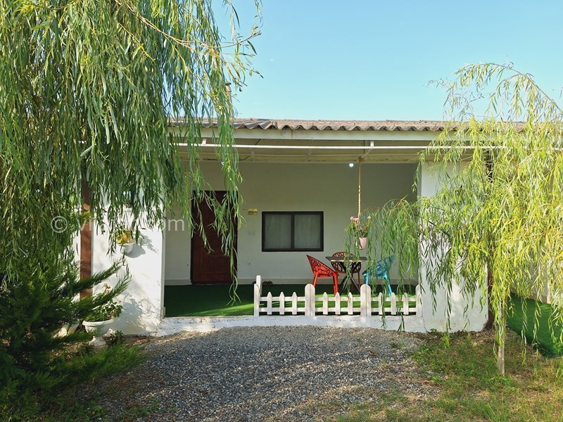 عکس شماره 830861 - مجتمع گردشگری آویشار تالش - 