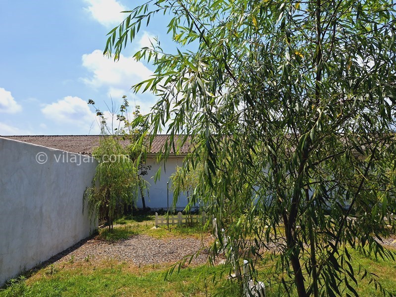 عکس شماره 830873 - مجتمع گردشگری آویشار تالش - 