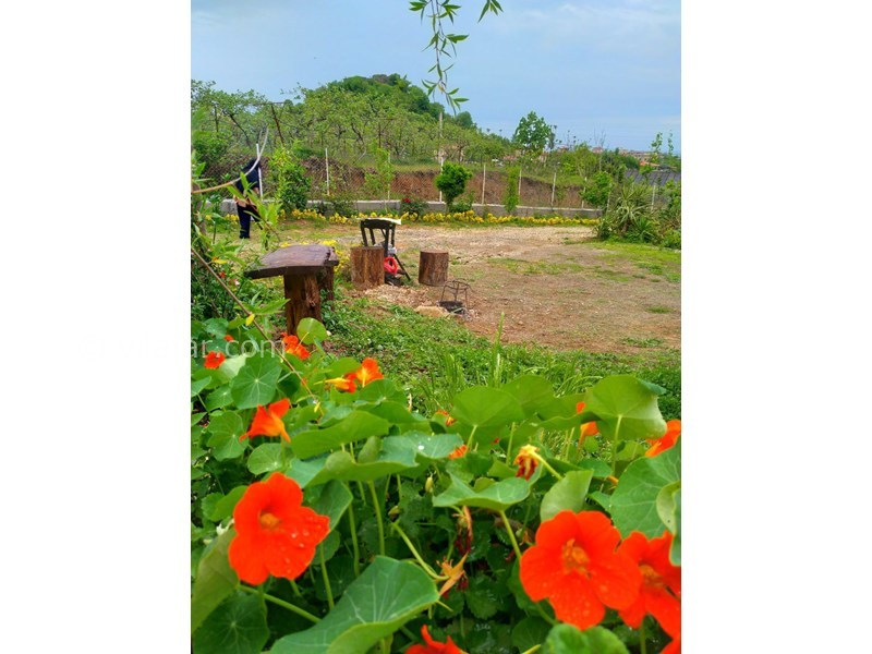 عکس شماره 831250 - اجاره ویلا در تالش لیسار - 