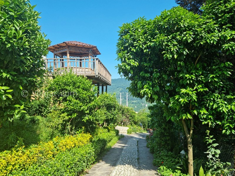 عکس شماره 831847 - ویلا با استخر آبگرم رامسر دالخانی - 