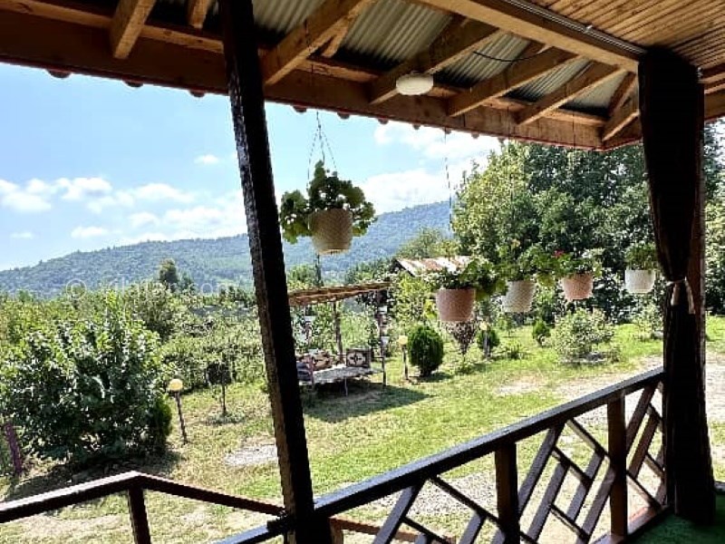 عکس شماره 831898 - اجاره ویلا چوبی در ماسال - 