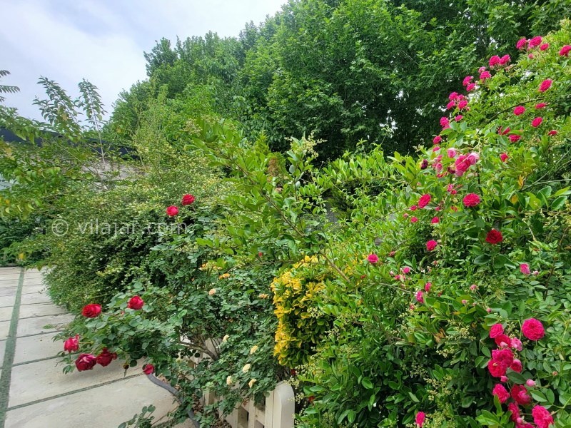 عکس شماره 833009 - ویلا با استخر سرپوشیده نزدیک کردان - 