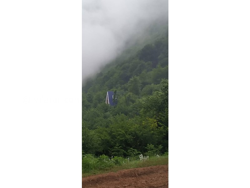 عکس شماره 833350 - کلبه چوبی جنگلی جاده دوهزار تنکابن - 