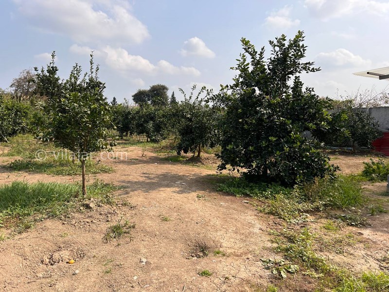 عکس شماره 833601 - اجاره ویلا جاده نظامی استخردار - 