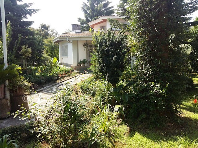 عکس شماره 83369 - اجاره ویلای دربست حیاط دار - 