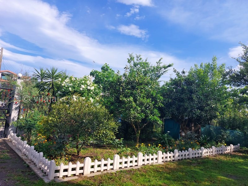 عکس شماره 834079 - اجاره اقامتگاه ساحلی رضوانشهر - 