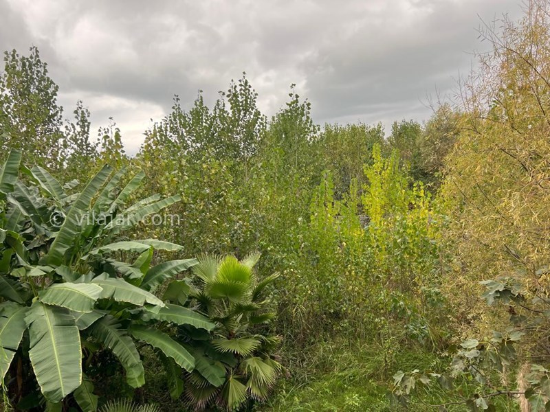 عکس شماره 834822 - اجاره ویلا با استخر خط هشت چالوس - 