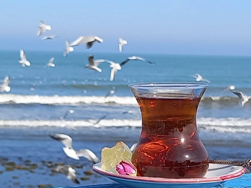 عکس شماره 835527 - اجاره اقامتگاه لب دریا در نوشهر - 