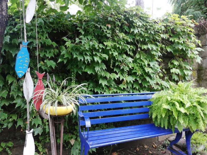 عکس شماره 835533 - اجاره اقامتگاه لب دریا در نوشهر - 